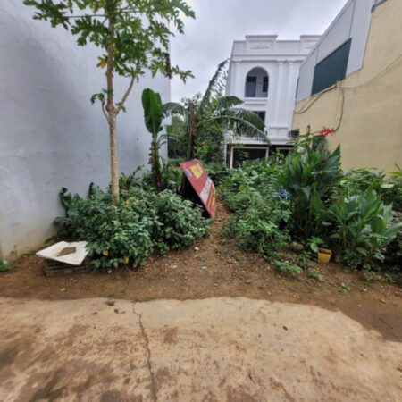 SIÊU PHẨM ĐỒI HỌA SĨ GIÁ 2,3 TỶ ĐẤT TẠI TIÊN PHƯƠNG-CHƯƠNG MỸ D/T:42,7M SIÊU PHẨM ĐỒI HỌA SĨ GIÁ 2,3 TỶ ĐẤT TẠI TIÊN PHƯƠNG-CHƯƠNG MỸ D/T:42,7M