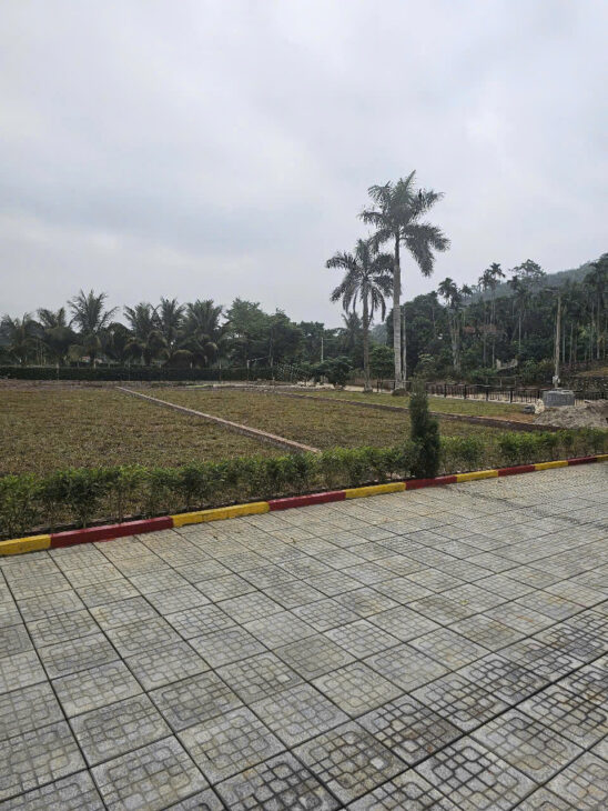 Bán đất nghỉ dưỡng Phú Mãn lôgóc ôtô vòng quanh giá rẻ nhỉnh 17 triệu/m