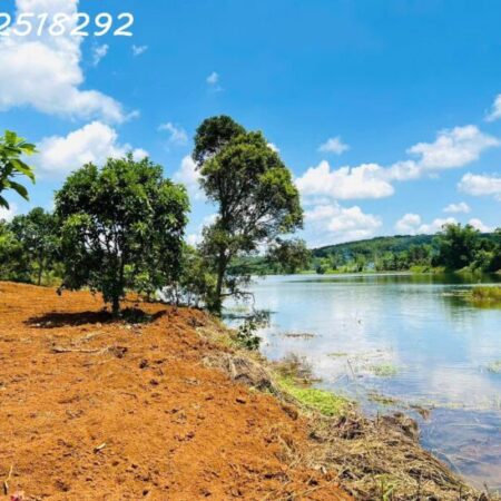 Đất trang trại TP. Đồng Xoài. Hồ nước bao quanh, Làm nhà vườn, nhà yến… 610tr/1.000m2