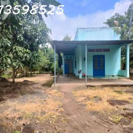 1500m2 giá 300 triệu, nhà chòi nhậu bao mát