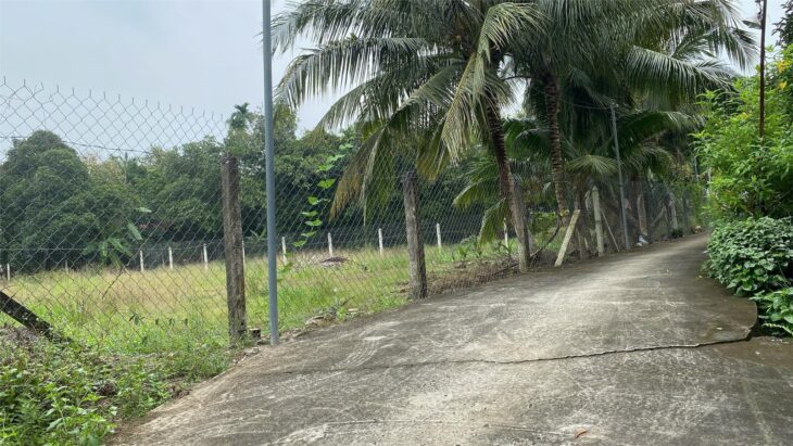 Cơ hội đầu tư: Đất An Sơn 32, 15x32m, pháp lý rõ ràng, đường bê tông 3,5m Cơ hội đầu tư: Đất An Sơn 32, 15x32m, pháp lý rõ ràng, đường bê tông 3,5m
