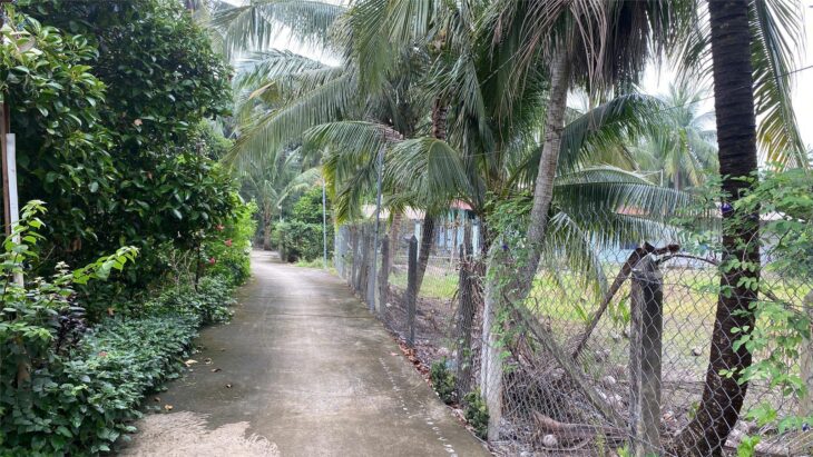 Cơ hội đầu tư: Đất An Sơn 32, 15x32m, pháp lý rõ ràng, đường bê tông 3,5m