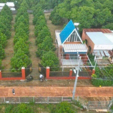 TÔI CẦN BÁN VƯỜN SẦU RIÊNG 1100M2 GIÁ CHỈ 350 TRIỆU