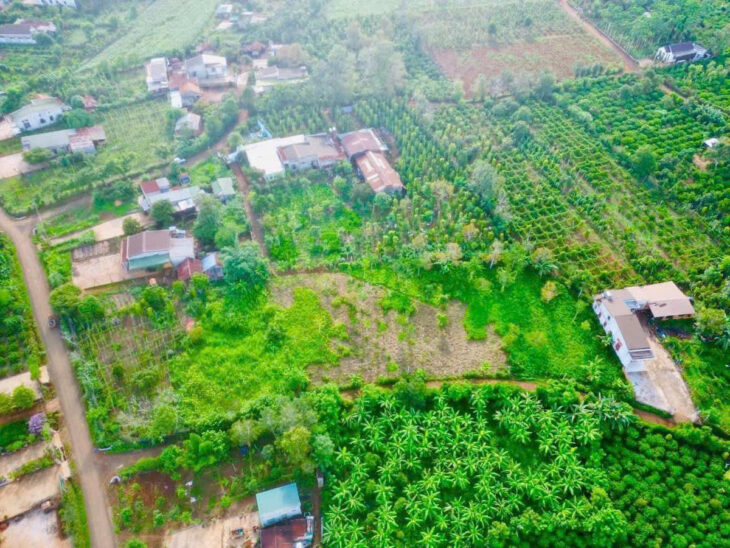 Chính Chủ Cần Bán Nhanh Lô Đất Xã Thống Nhất , TX Buôn Hồ, Đắk Lắk.