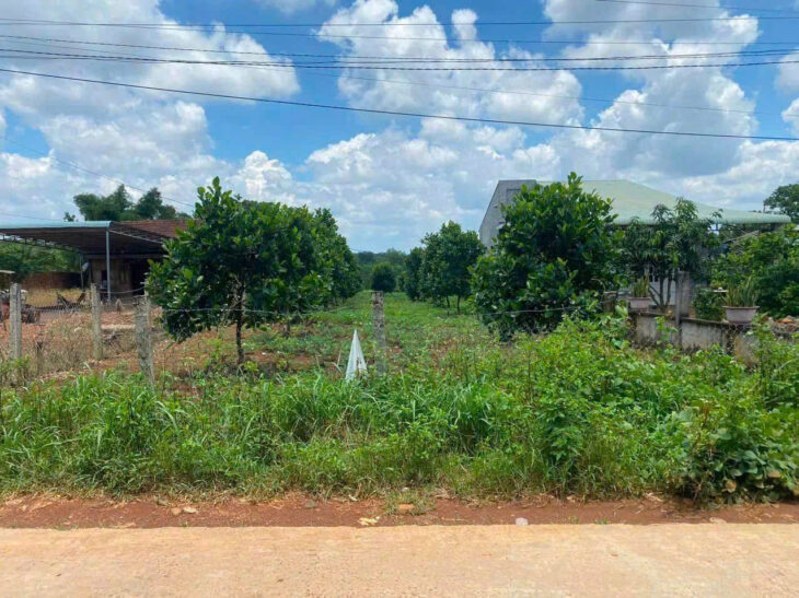 VỠ NỢ CẤN BÁN GẤP MẢNH VƯỜN 1450M2 CÓ 100 THỔ CƯ