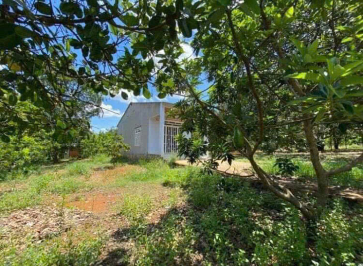 VỠ NỢ CẤN BÁN GẤP MẢNH VƯỜN 1450M2 CÓ 100 THỔ CƯ