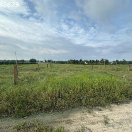 GIẢM SỐC1 1000m2 Khu rừng Vàng Tân Bình, thị xã LaGi 300m2t thổ cư giá ngộp GIẢM SỐC1 1000m2 Khu rừng Vàng Tân Bình, thị xã LaGi 300m2t thổ cư giá ngộp