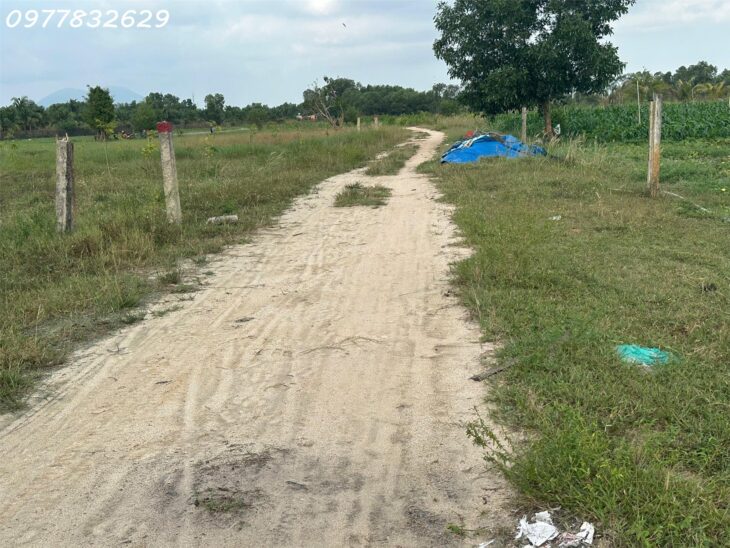 GIẢM SỐC1 1000m2 Khu rừng Vàng Tân Bình, thị xã LaGi 300m2t thổ cư giá ngộp