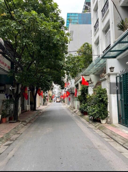 GIẢM SÂU 2 TỶ TRƯỚC TẾT nhà phố Hà Kế Tấn – Thanh Xuân – 228m2 x 3 tầng, mặt tiền hơn 7m