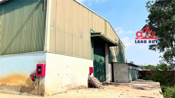 XT461 cho thuê nhà xưởng sản xuất, khung thép kiên cố phù hợp đa dạng ngành nghề