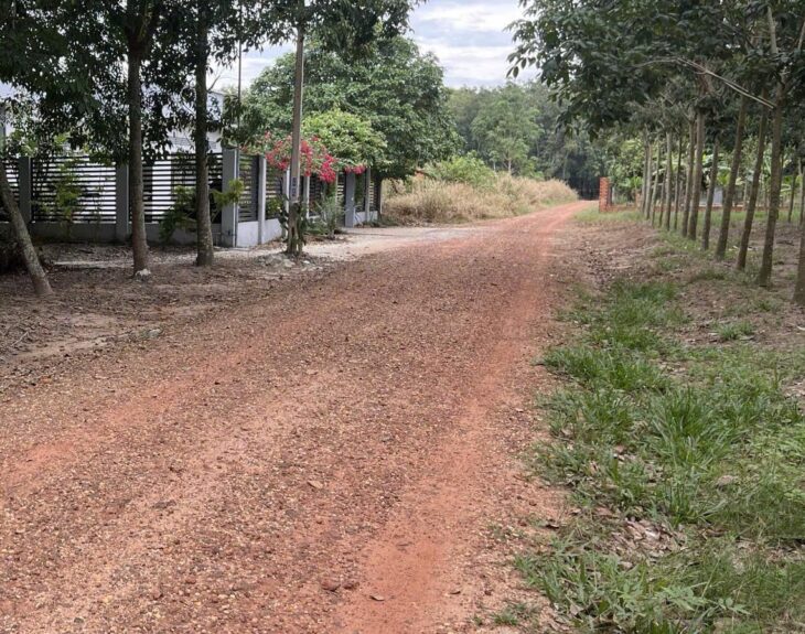 Bán lô đất trung tâm xã Long Hòa, Dầu Tiếng, Bình Dương.