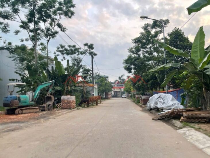 SIÊU PHÂM GIÁ 4,6 TỶ ĐẤT TẠI BIÊN GIANG-QUẬN HÀ ĐÔNG D/T:50M