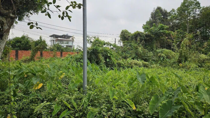 BÁN ĐẤT Ở THỔ CƯ HIỆP HÒA – BIÊN HÒA – ĐỒNG NAI – 2800M2 – GIÁ HỜI 13.5 TỶ – SỔ HỒNG