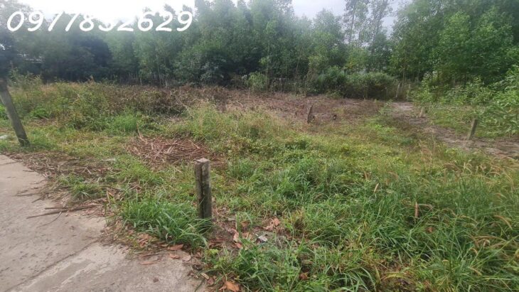 Chỉ 800 triệu sở hữu đất Hẻm Nguyễn Chí Thanh – Tân Bình – TX LaGi sổ riêng, full thổ cư