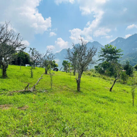 Cơ hội sở hữu mảnh đất tại trung tâm Du lịch Mường Sang Mộc Châu chỉ với giá hơn một tỷ, Cơ hội x2 Cơ hội sở hữu mảnh đất tại trung tâm Du lịch Mường Sang Mộc Châu chỉ với giá hơn một tỷ, Cơ hội x2