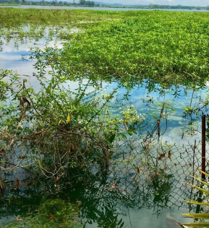 BÁN ĐẤT CHÍNH CHỦ – VIEW HỒ TRỊ AN- LA NGÀ- ĐỊNH QUÁN- ĐỒNG NAI
