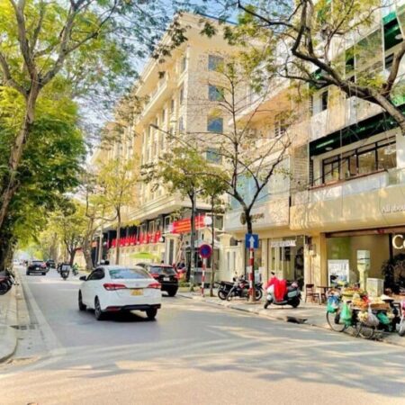 Đường Bưởi Ba Đình – ô tô tránh – văn phòng – 124m chỉ 23 tỷ