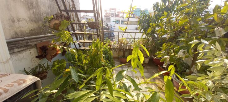 NHÀ CHÍNH CHỦ LẠC LONG QUÂN, Q.11, DT 52M2, HẺM XE TẢI, SỔ ĐẸP, GIÁ 9.1 TỶ CÓ TL