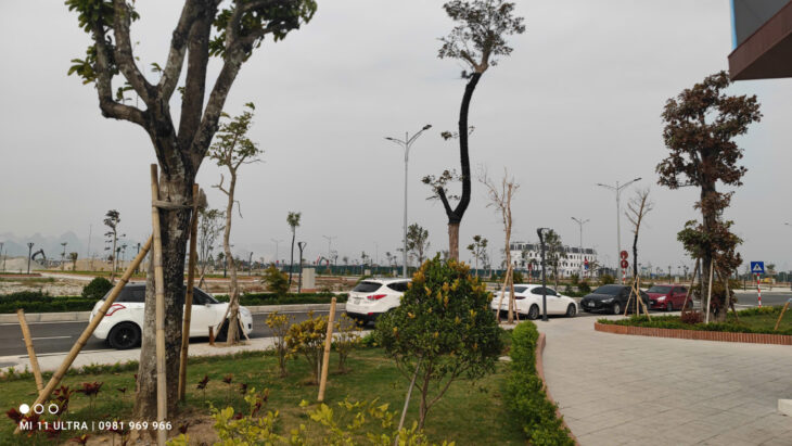 Mở bán đợt cuối đất nền Liền kề tại khu đô thị kiểu mẫu Tân Thanh Elite City, gần Trung tâm hành