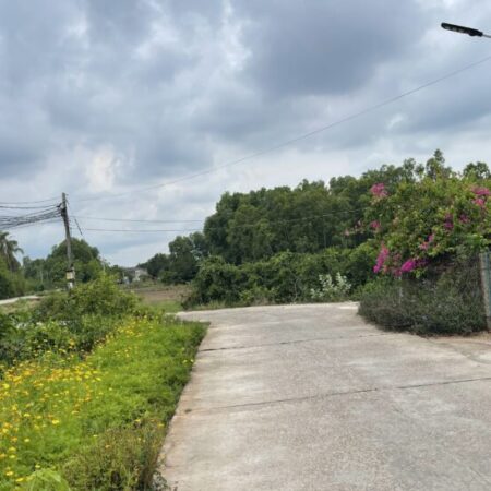 Bán đất thổ cư đường Trần Quốc Toản, Thị xã LaGi chỉ 750 triệu Bán đất thổ cư đường Trần Quốc Toản, Thị xã LaGi chỉ 750 triệu