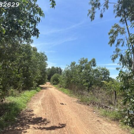 Bán đất ONT Đường Trần Thánh Tông – Tân Hải – TX laGi giá rẻ chỉ 795 triệu Bán đất ONT Đường Trần Thánh Tông – Tân Hải – TX laGi giá rẻ chỉ 795 triệu