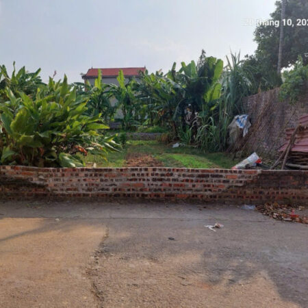 BÁN NHANH 76,5M ĐẤT THANH TRÍ, MINH PHÚ, SÓC SƠN. CHỈ 25TR/M. BÁN NHANH 76,5M ĐẤT THANH TRÍ, MINH PHÚ, SÓC SƠN. CHỈ 25TR/M.