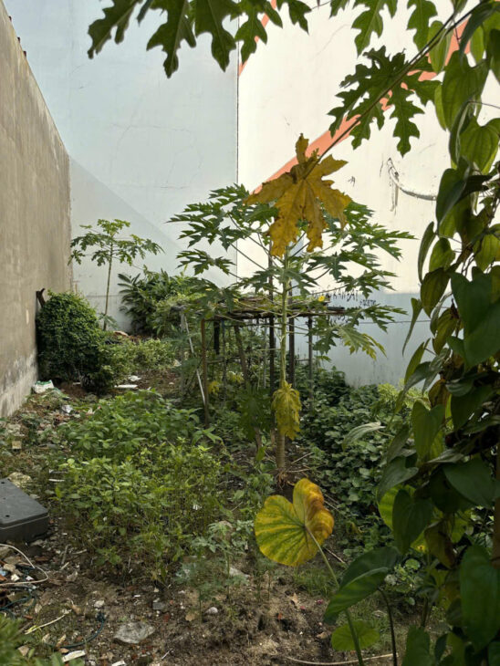 Đất Vitri Đẹp Giá Chỉ 2 Tỷ 94 SHR Hẻm 6 mét An Phú Đông Quận 12 Gần Gò Vấp Xe tải Chạy vi vu