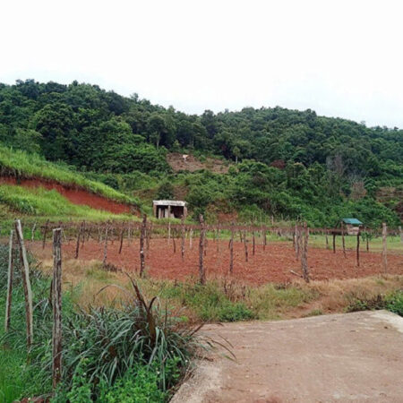 Bán gấp mảnh đất vị trí đắc địa lưng tựa núi mặt bám suối tại Mường Sang Mộc Châu. Bán gấp mảnh đất vị trí đắc địa lưng tựa núi mặt bám suối tại Mường Sang Mộc Châu.