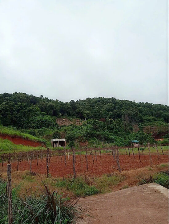 Bán gấp mảnh đất vị trí đắc địa lưng tựa núi mặt bám suối tại Mường Sang Mộc Châu.