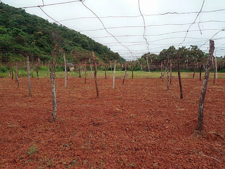 Bán gấp mảnh đất vị trí đắc địa lưng tựa núi mặt bám suối tại Mường Sang Mộc Châu.