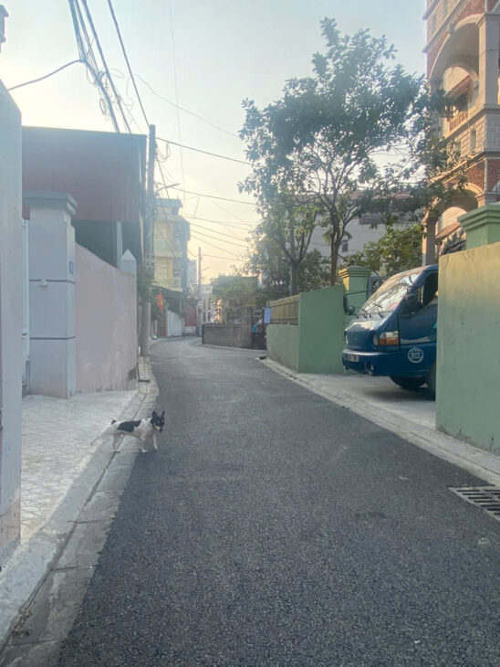 CẦN BÁN NHANH 76M ĐẤT NGỌC CHI, VĨNH NGỌC, ĐÔNG ANH. GIÁ 64TR/M