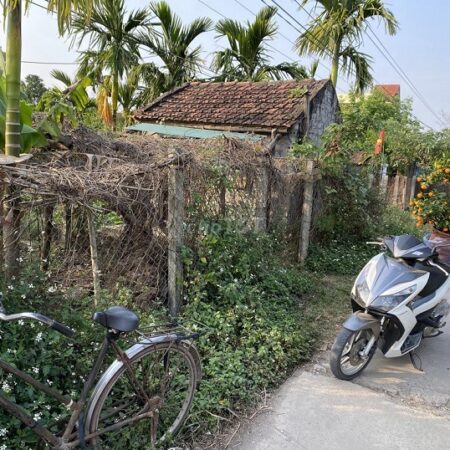 Đất sổ đỏ 400m2 Đội 6, xã Yên Phú – Ý Yên- Nam Định