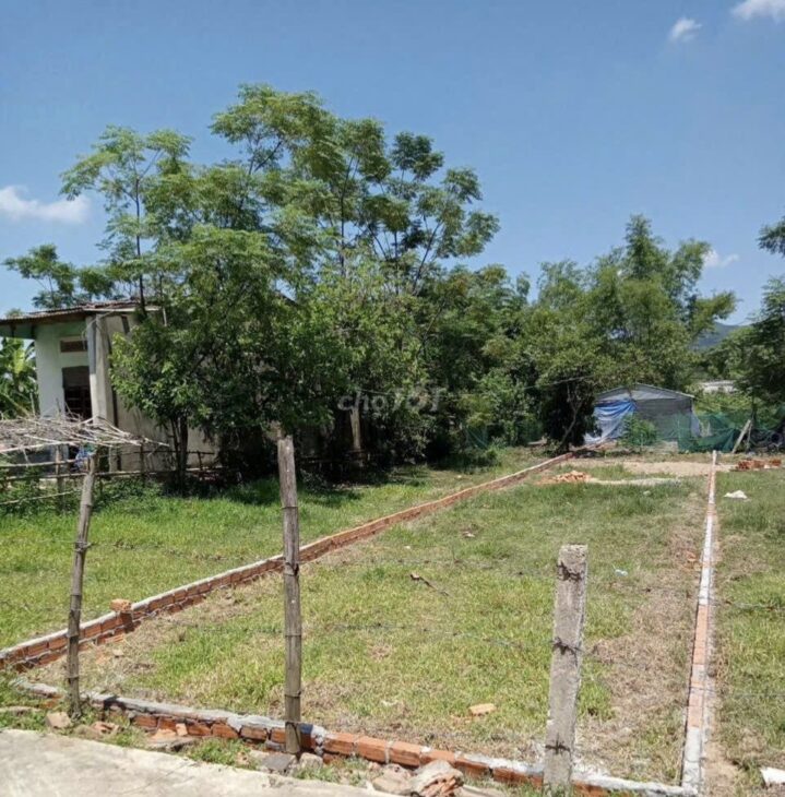 Chính chủ cần bán lô đất 225m2 – Phú Trung 6, Xã Đại Hiệp, Huyện Đại Lộc, Quảng Nam