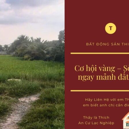 Đất Vàng Hậu Nghĩa – Liền Kề Khu Đô Thị Vingroup, Giá Đầu Tư Cực Tốt! Đất Vàng Hậu Nghĩa – Liền Kề Khu Đô Thị Vingroup, Giá Đầu Tư Cực Tốt!
