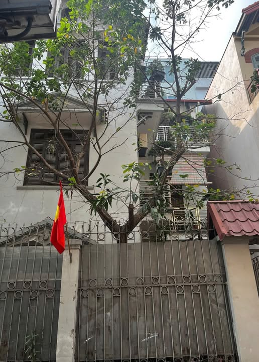 Duy nhất 1 căn phố Cát Linh – cách 1 nhà ra phố – ngõ rộng – 53m chỉ 13.x tỷ