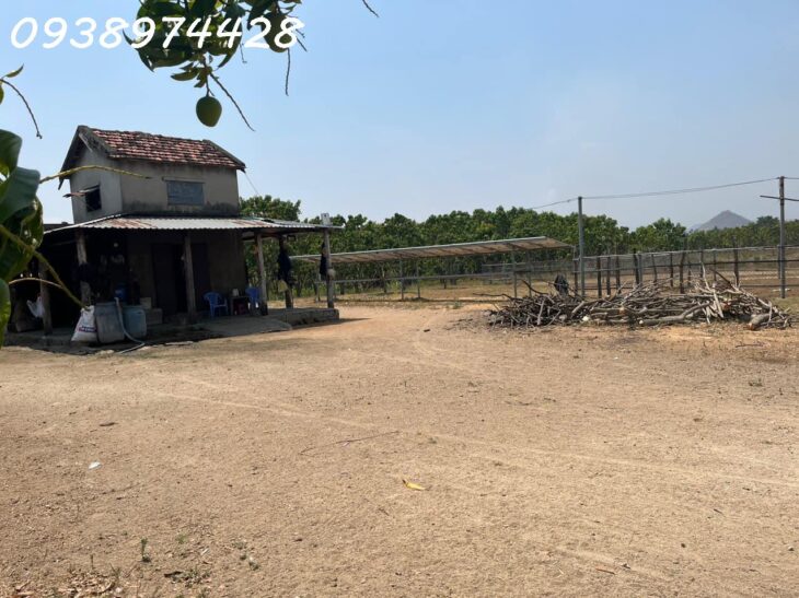 bán 14 ha. Đất nuôi trồng tại xã Quãng Sơn – huyện Ninh Sơn. Ninh Thuận 0938974428