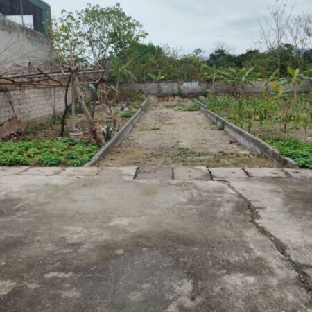 Em vẫn còn 1 em phân lô ck2, Xuân Sen, Thuỷ Xuân Tiên, Chương Mỹ HN . ????Dt 76m full thổ cư