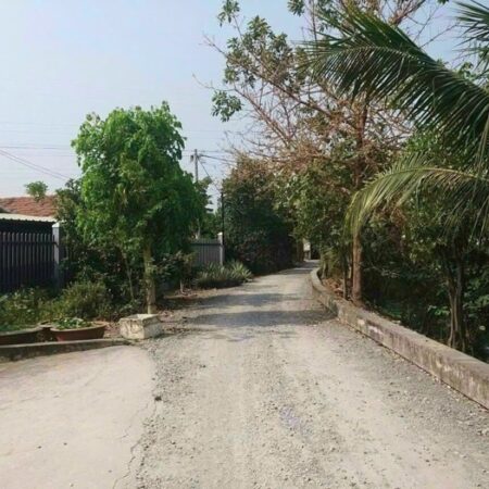 Quận 12 – Nhà cổ và 2222 m² đất gần ngã tư Vườn Lài – 56 tỷ