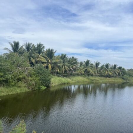 Lô góc 1145,9m2 -Khu đô thị FPT- Ngũ Hành Sơn -Giá chỉ 34,38 tỷ.