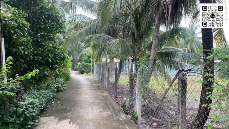 Đất An Sơn 500m², đường bê tông 3.5m, ô tô vào tận nơi