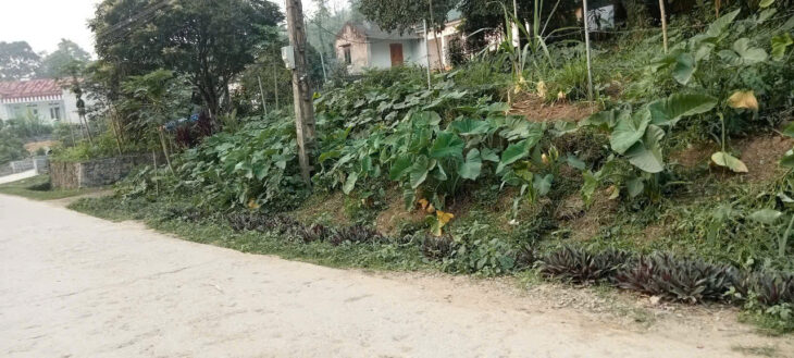 ĐẤT ĐẸP – GIÁ TỐT – Vị Trí Đắc Địa Tại Xã Cao Dương, Huyện Lương Sơn, Tỉnh Hoà Bình