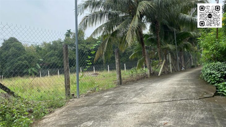 Đất An Sơn 500m², đường bê tông 3.5m, ô tô vào tận nơi