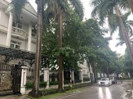 Bán biệt thự khu C5 Ciputra 217m2 sau nhà là Hồ điều hòa và công viên rộng 60ha