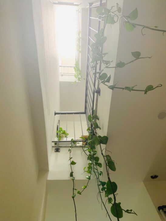 ♥ Nhà thẳng 25m ra MT Hoàng Diệu, 80m2, 3 tầng cứng, thoáng đẹp, 4.x tỷ