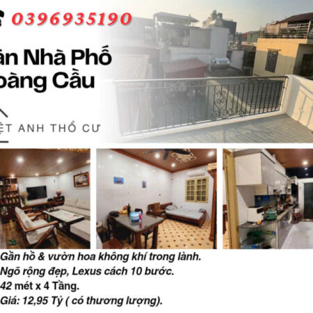 Bán nhà Phố Hoàng Cầu, Khu Phân Lô, Gần Hồ Sinh Thái, 42mx4T, Giá: 12.95 Tỷ, Lh: 0396935190.