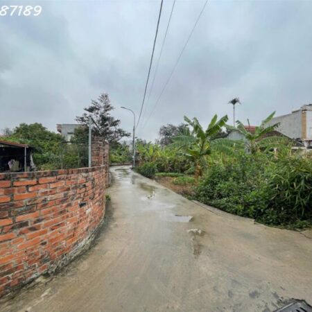 Đất thị trấn Gia Bình giá rẻ – gần sân bay Gia Bình, Bắc Ninh 0986287189