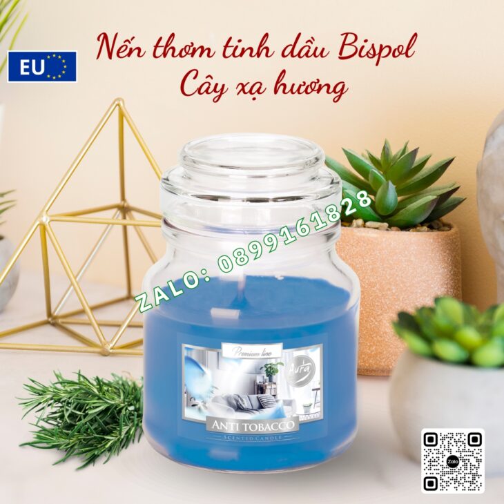 NẾN THƠM TINH DẦU CAO CẤP BISPOL 120g, THƠM PHÒNG DECOR TRANG TRÍ, HỖ TRỢ KHỬ MÙI, NHẬP KHẨU CHÂU ÂU