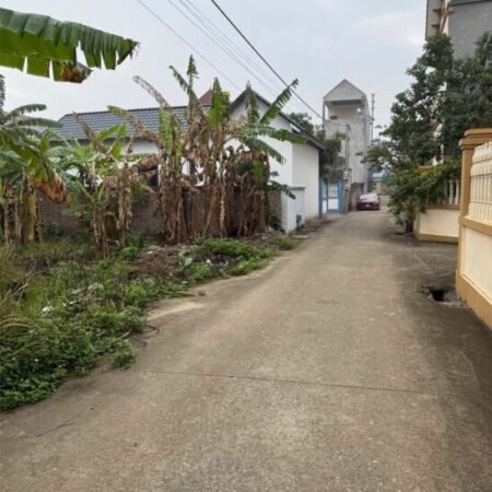 Chỉ hơn 1 tỷ đồng sở hữu lô đất đẹp tại Thị Trấn Gia Bình, Bắc Ninh