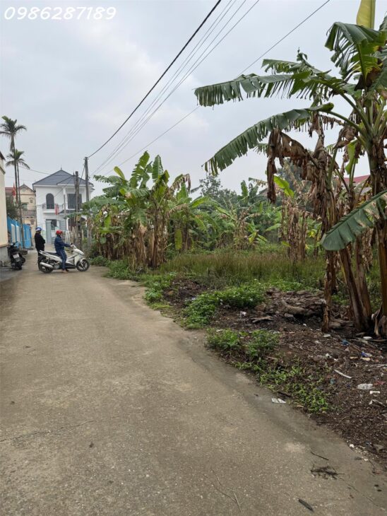 Chỉ hơn 1 tỷ đồng sở hữu lô đất đẹp tại Thị Trấn Gia Bình, Bắc Ninh