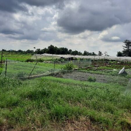 ĐẤT MẶT TIỀN ĐƯỜNG THỚI AN 5 ĐẦU TƯ PHÂN LÔ BAO LỜI – DIỆN TÍCH THỔ CƠ 100% – KHU VỰC QUI HOẠCH DÂN